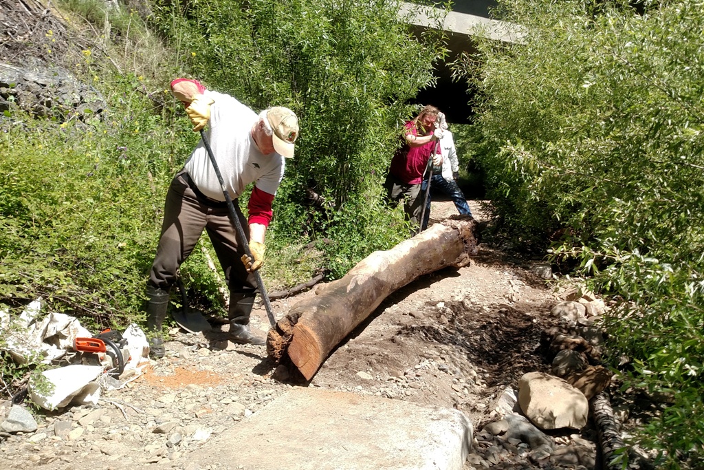 Bruce, Justin and Stan rolling the logs into place along the path.